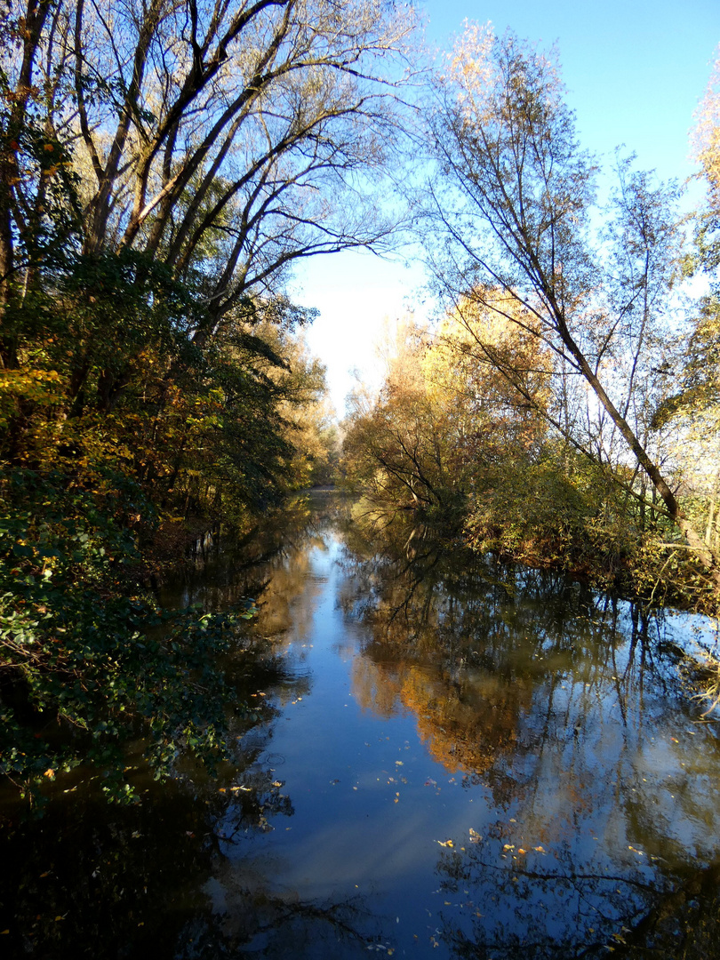 November im Park 3