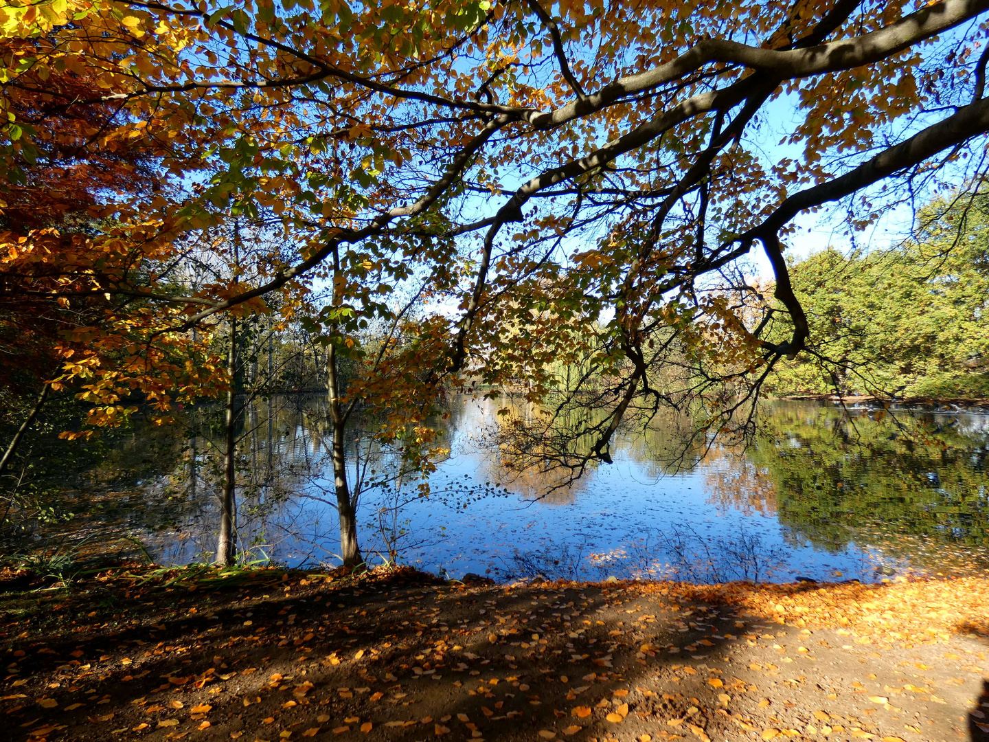 November im Park 6