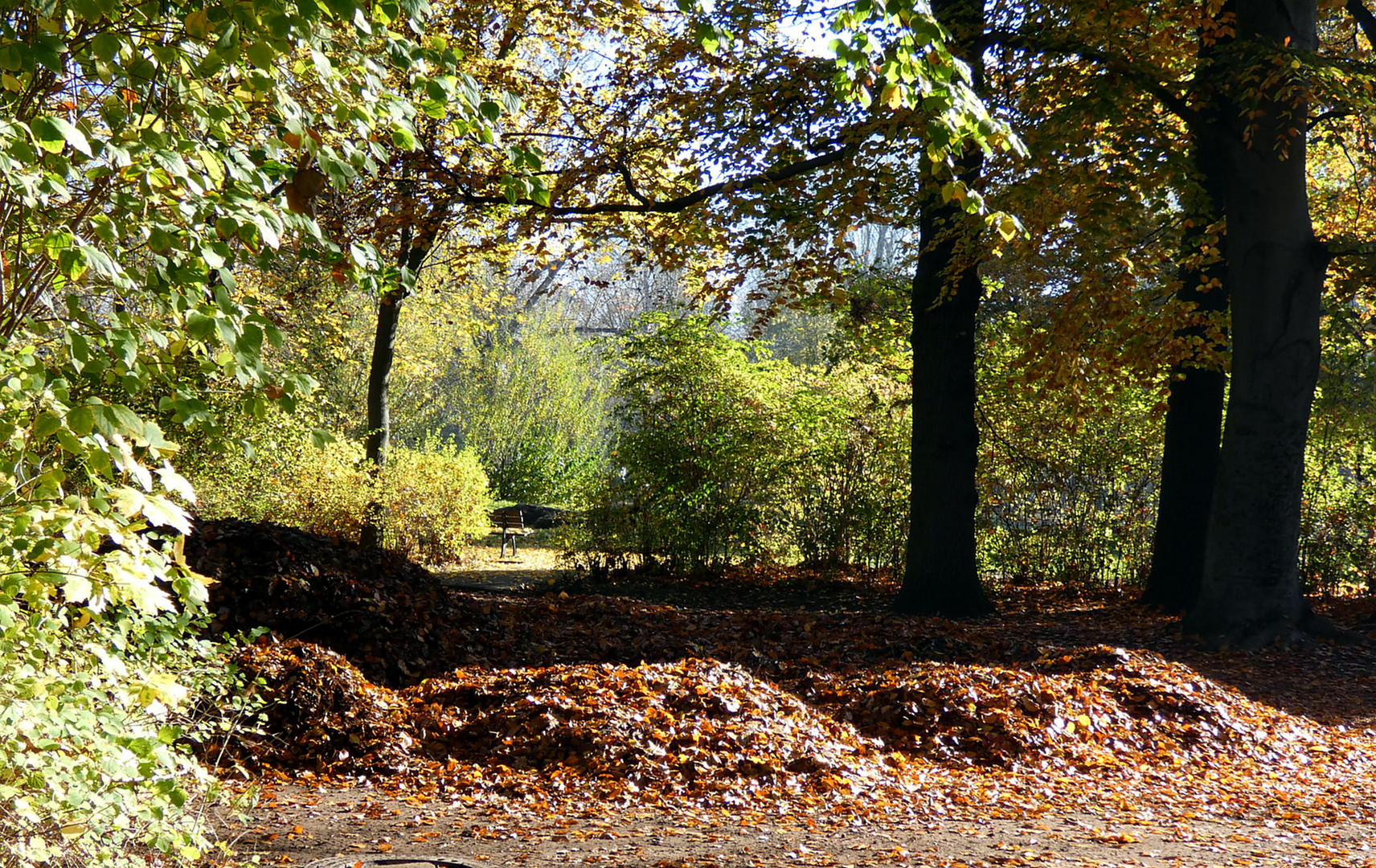 November im Park 7