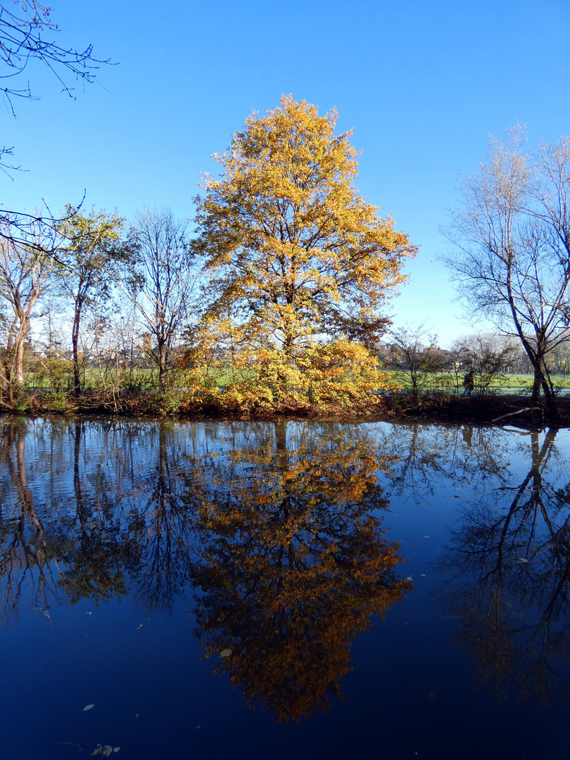 November im Park 9