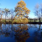 November im Park 9