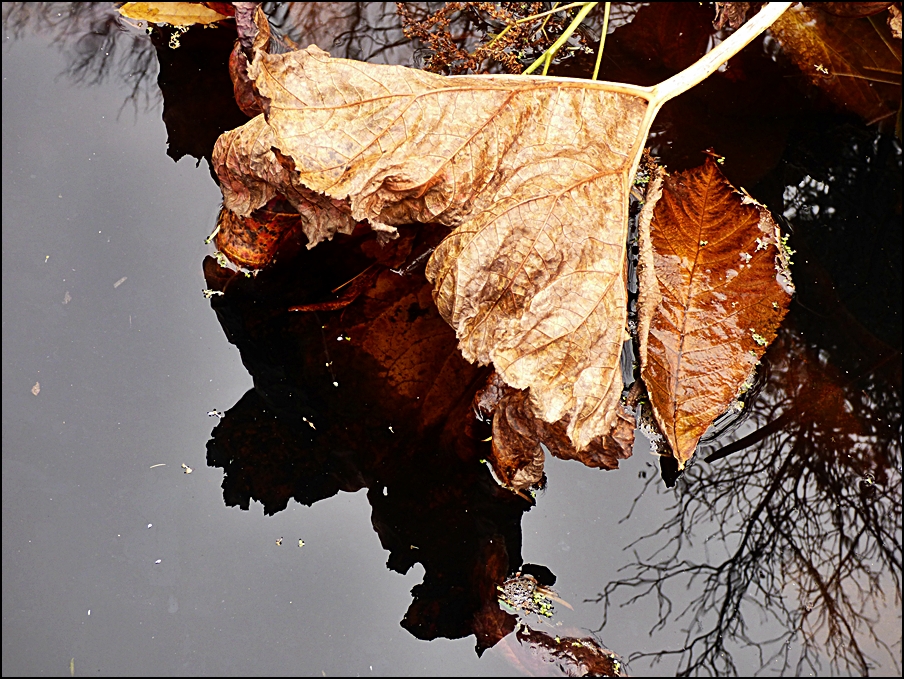 November im Park