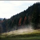 November im Schwarzwald - der Nebel lichtet sich