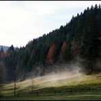 November im Schwarzwald - der Nebel lichtet sich