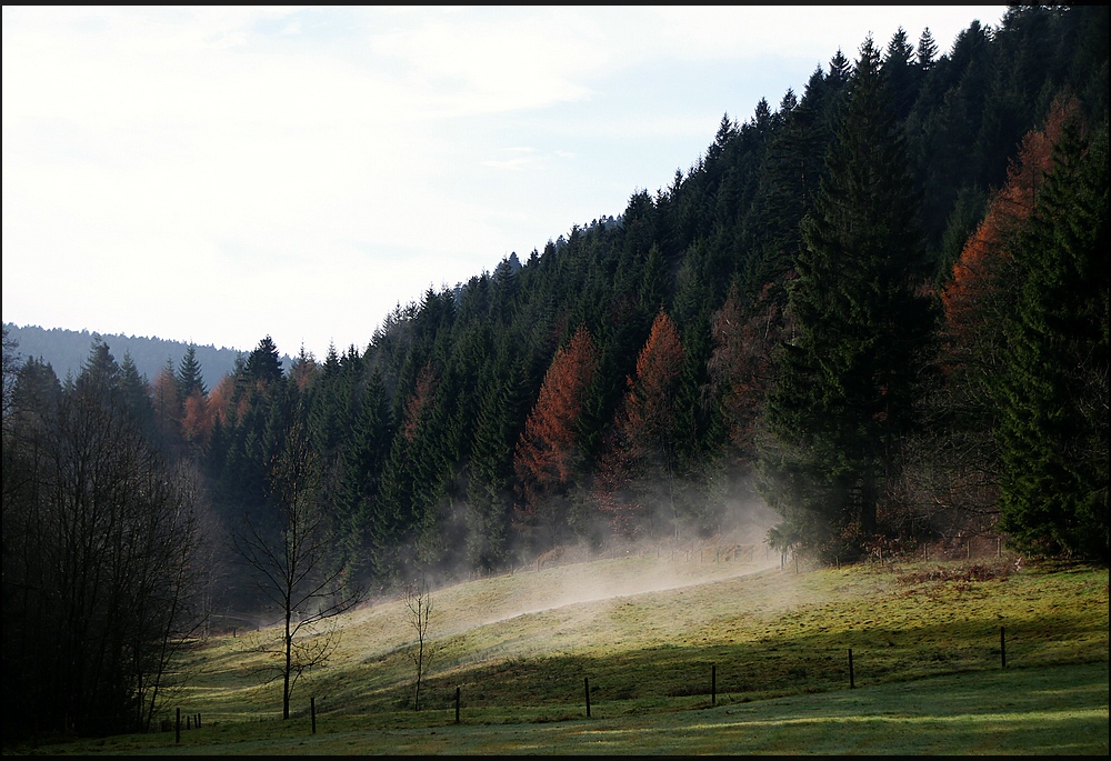 November im Schwarzwald - der Nebel lichtet sich