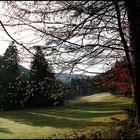 November im Schwarzwald - Licht und Schatten