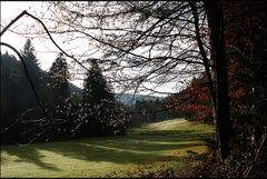 November im Schwarzwald - Licht und Schatten