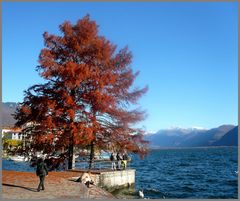 November im Tessin