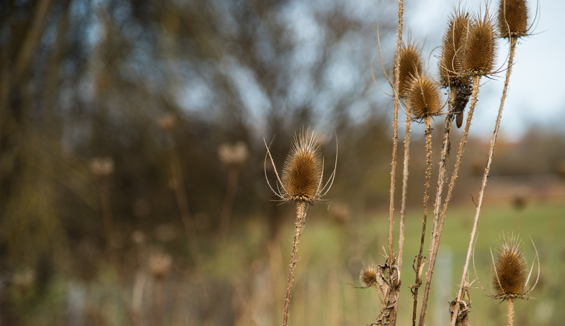 November-Impressionen 2