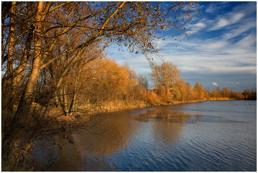 November in der Leinemasch ...........