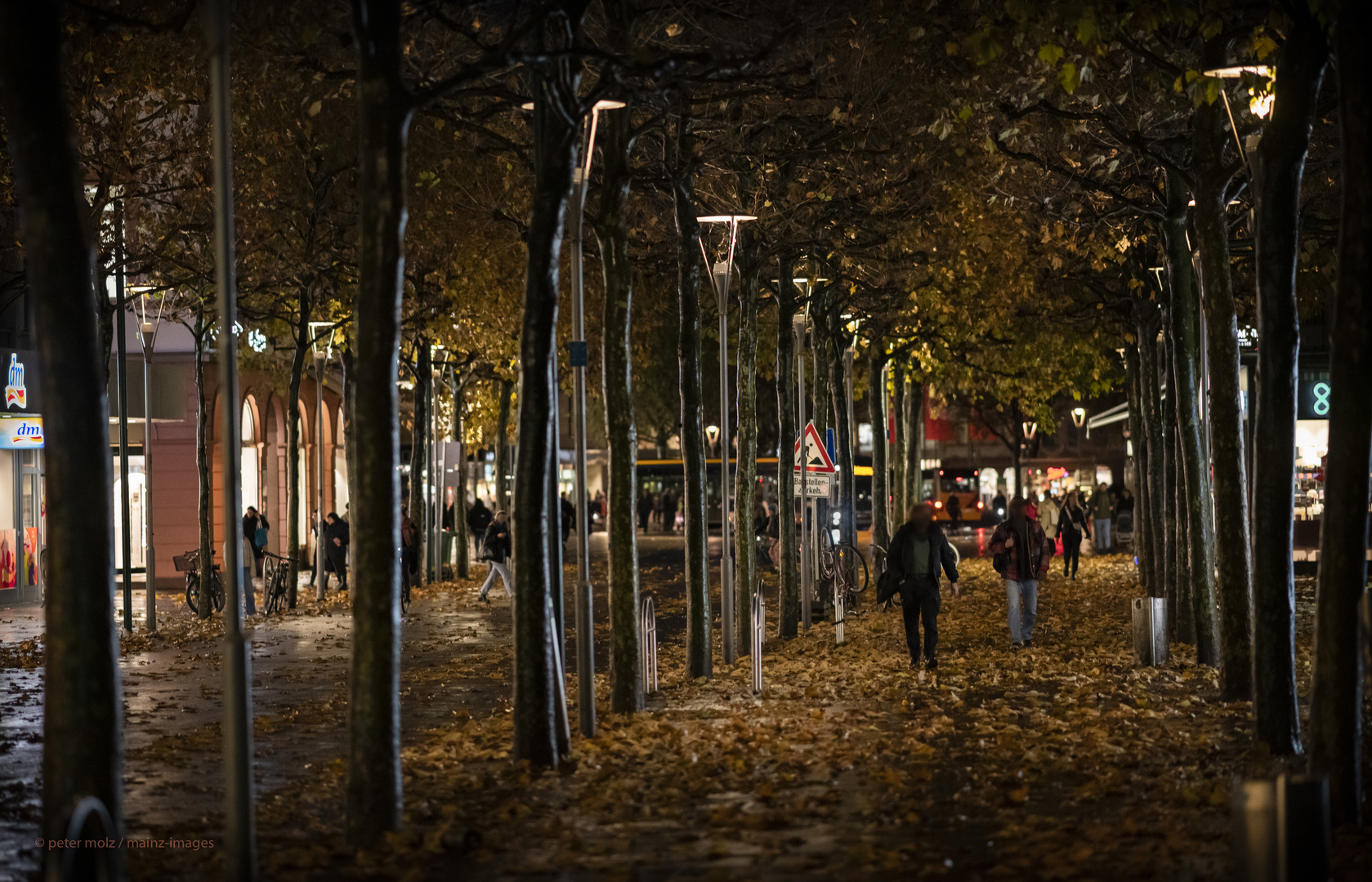 November in der Ludwigstrasse | Mainz