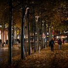 November in der Ludwigstrasse | Mainz