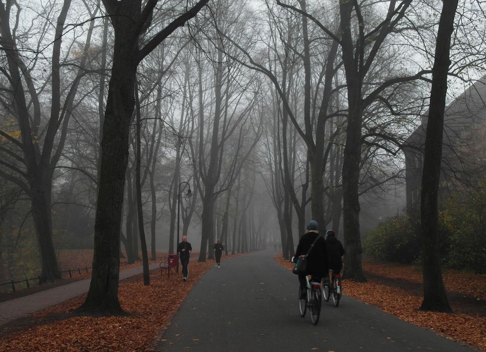 November in der Promenade