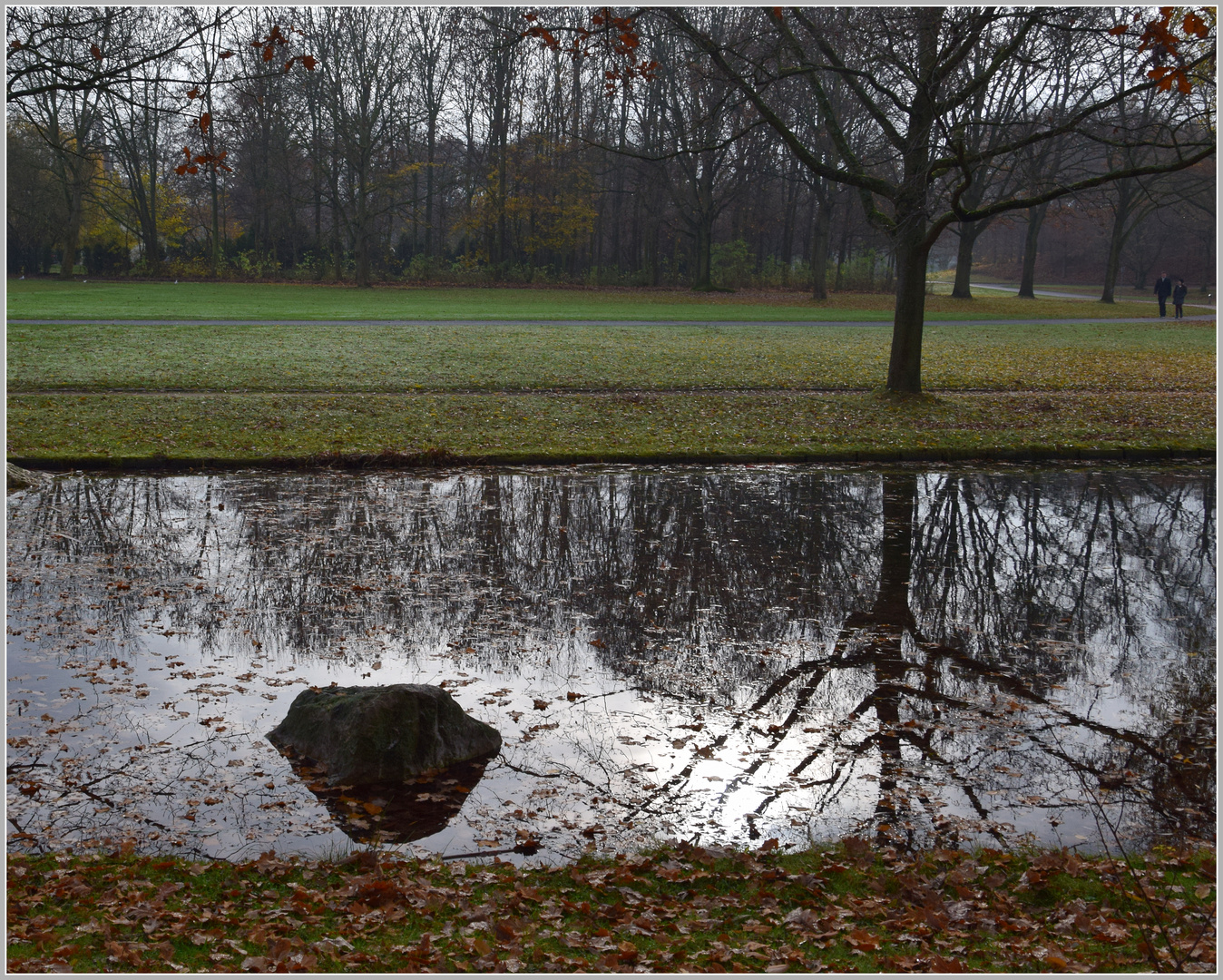 November in der Rheinaue 