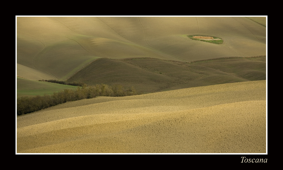 November in der Toscana III