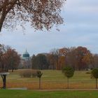 November in Sanssouci 