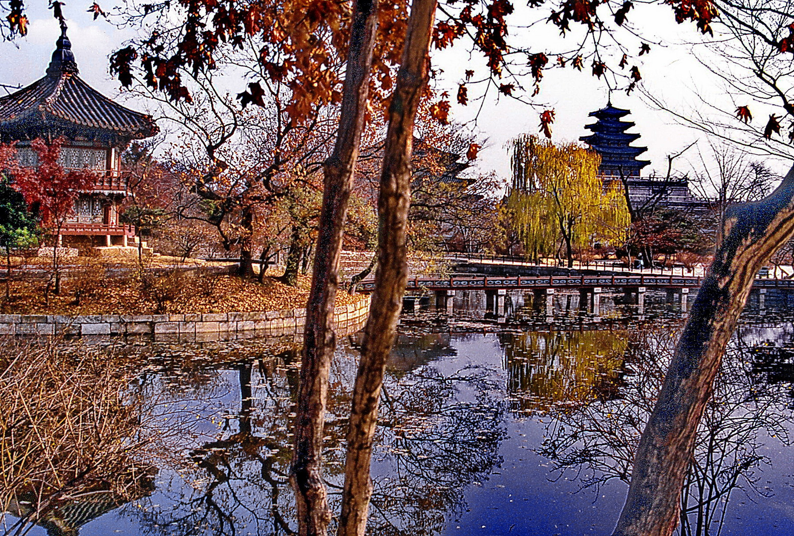 November in Seoul