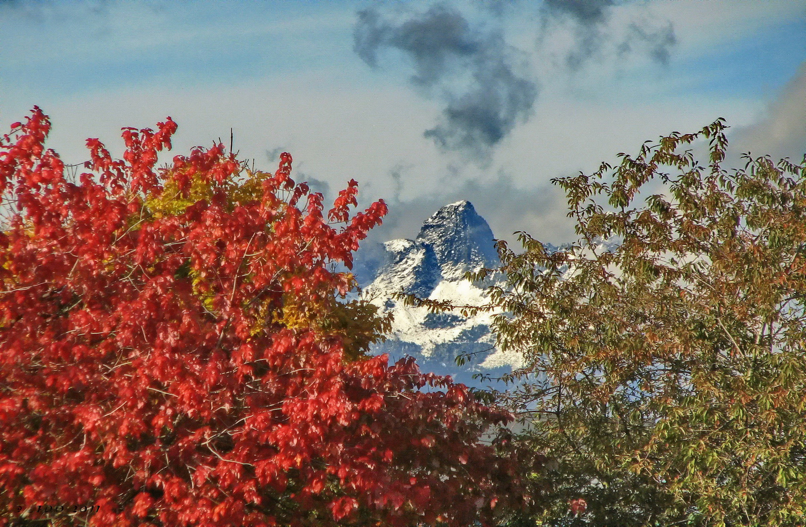 November in Vancouver