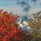 November in Vancouver