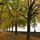 November in Würzburg