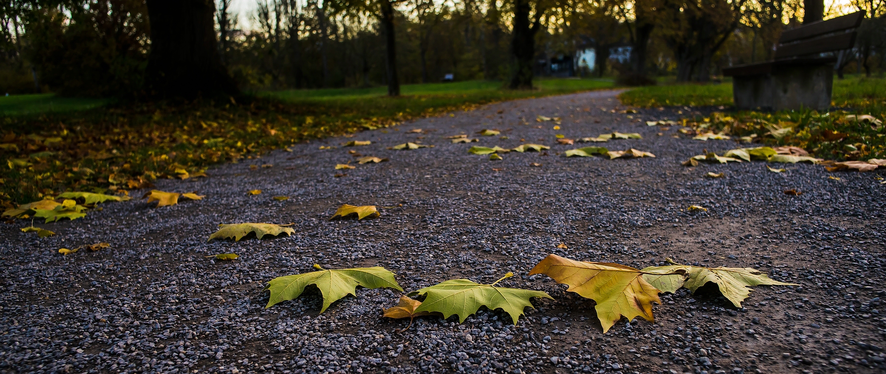 November Kiesweg 