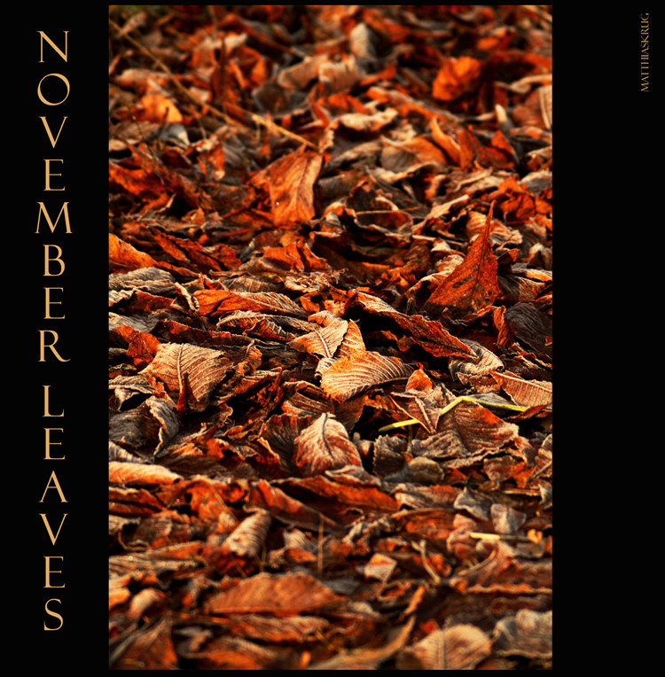 november leaves