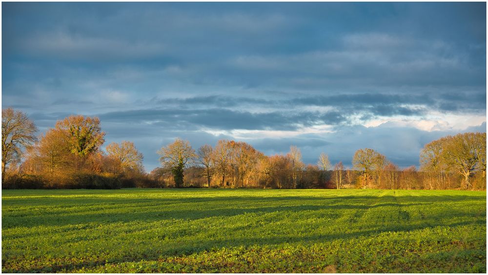 November mit Sonne