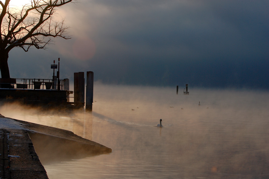 November-Morgen am See