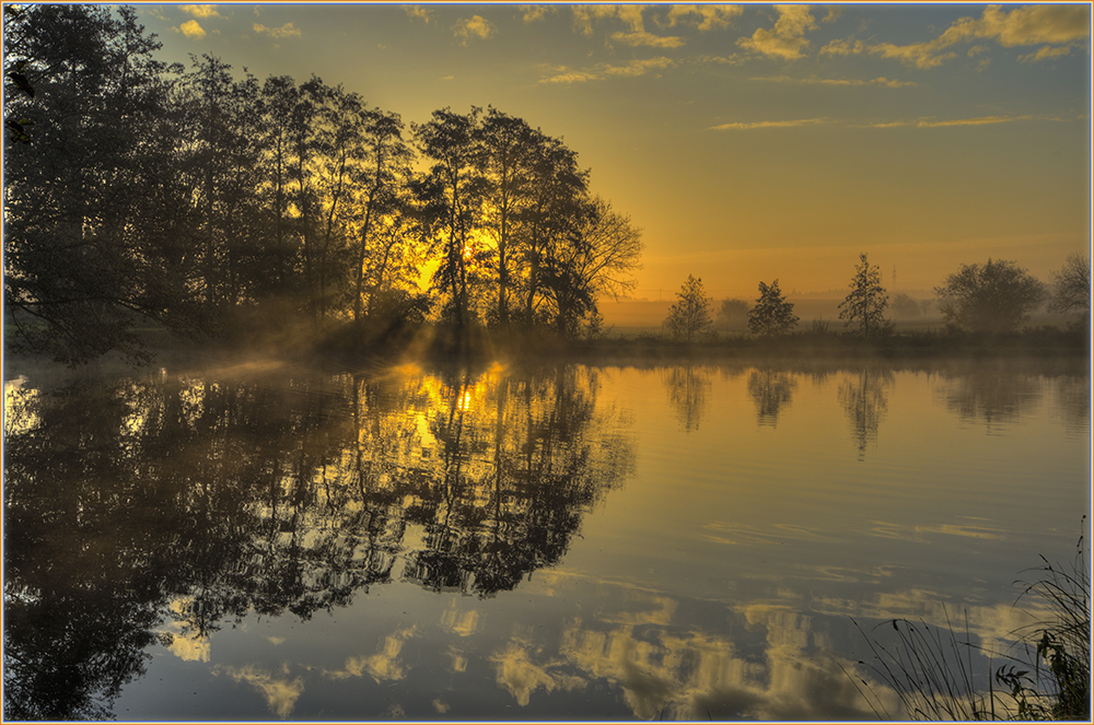 November Morgen am Teich