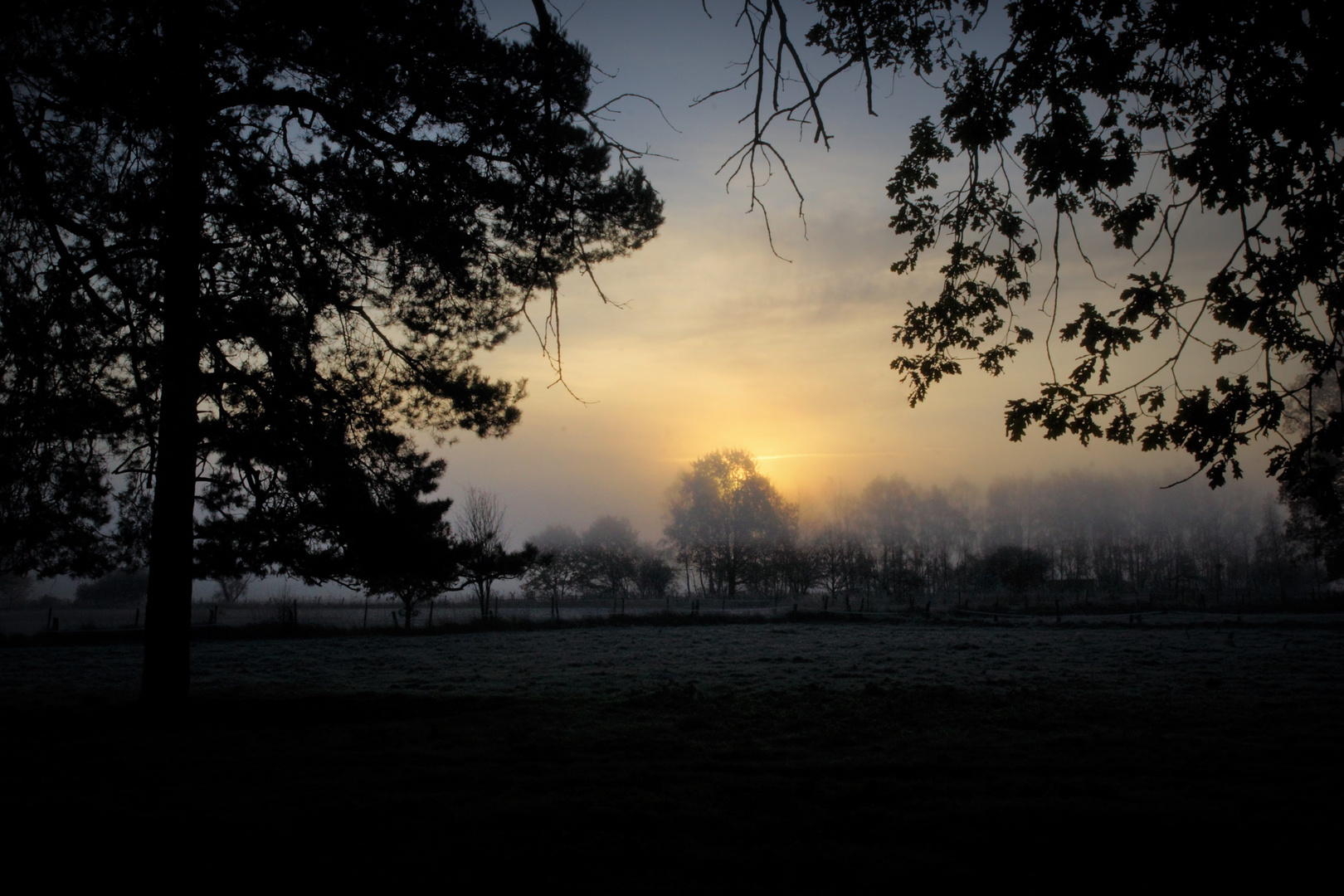 november-morgen-nebel