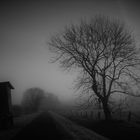 november-morgen-nebel