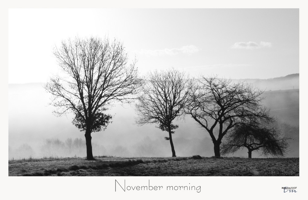 November morning