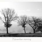 November morning