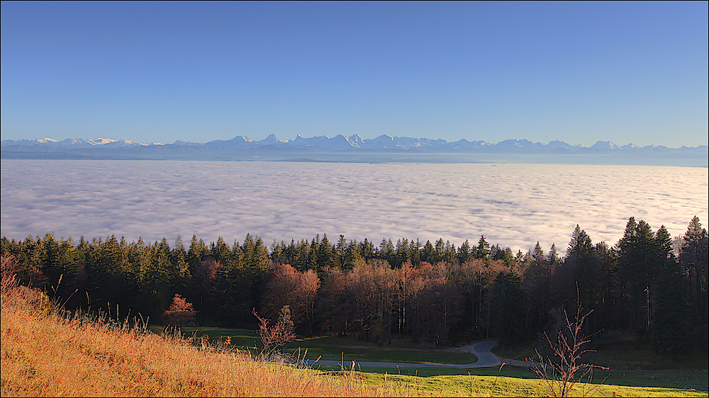 November-Nachmittag...