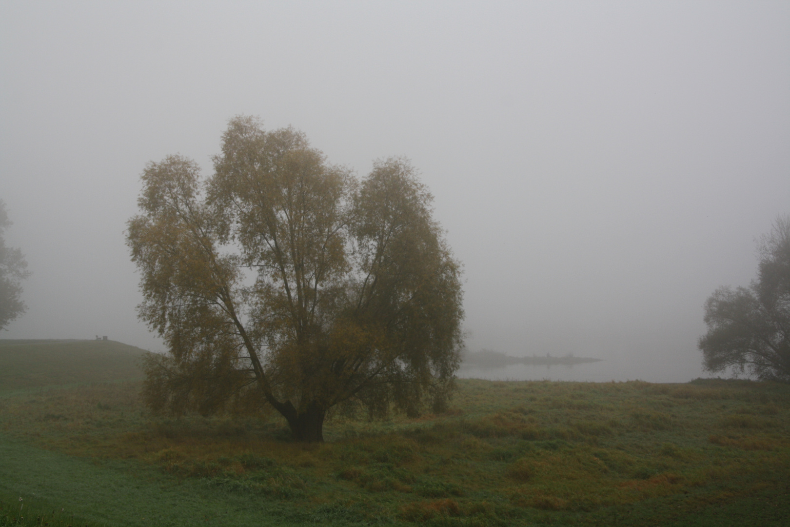 November Nebel