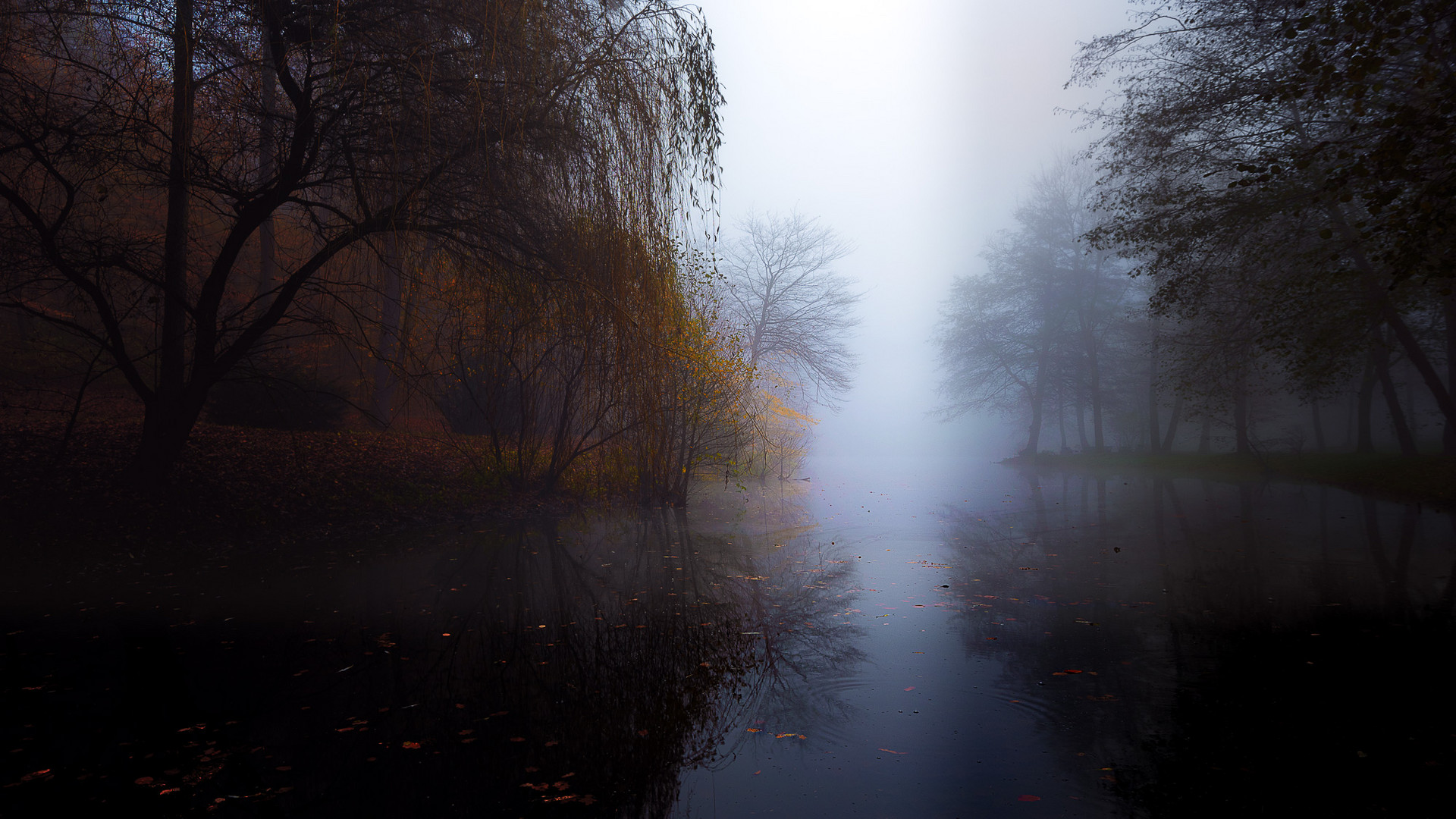 November-Nebel