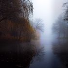 November-Nebel