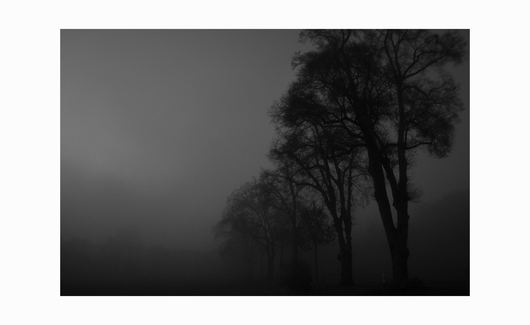 November-Nebel