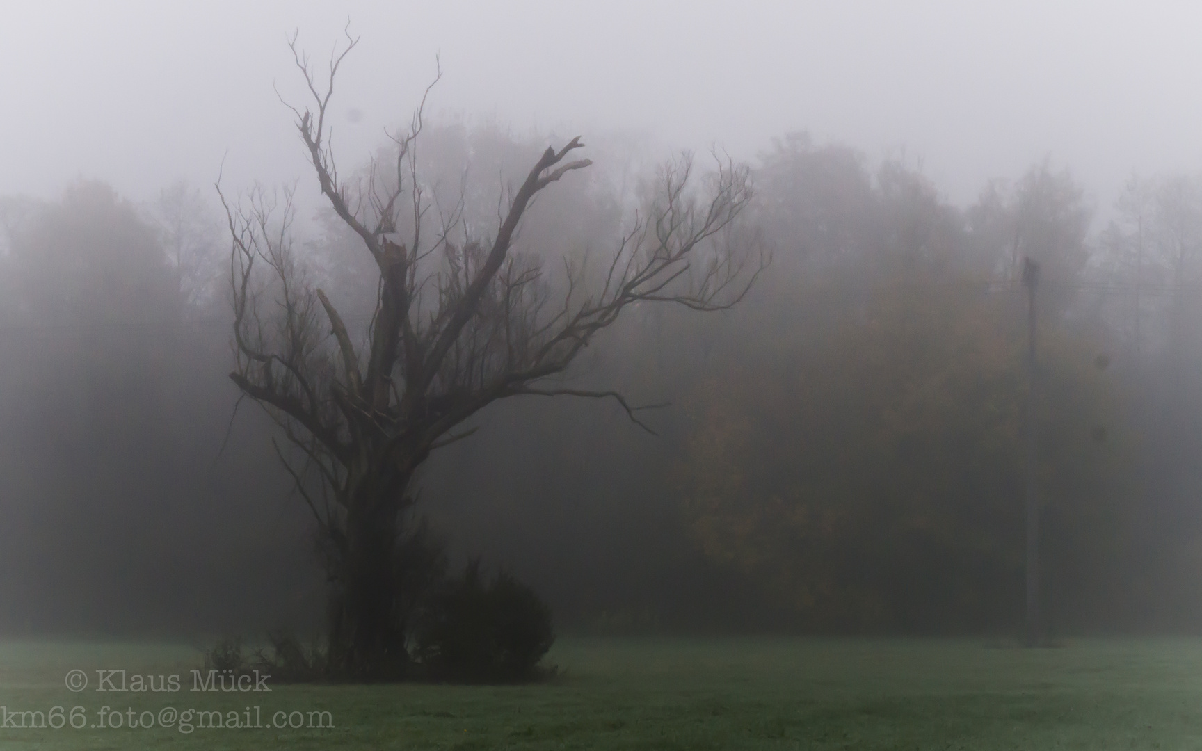 November-Nebel