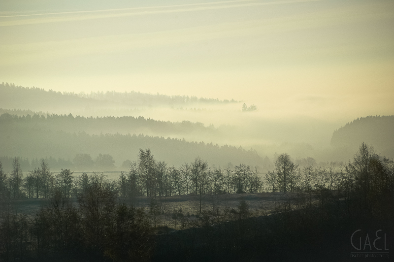 November Nebel