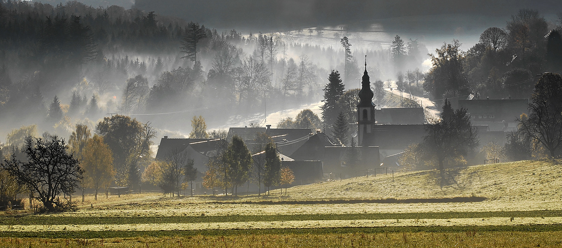 November Nebel