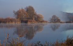 November-Nebel am See