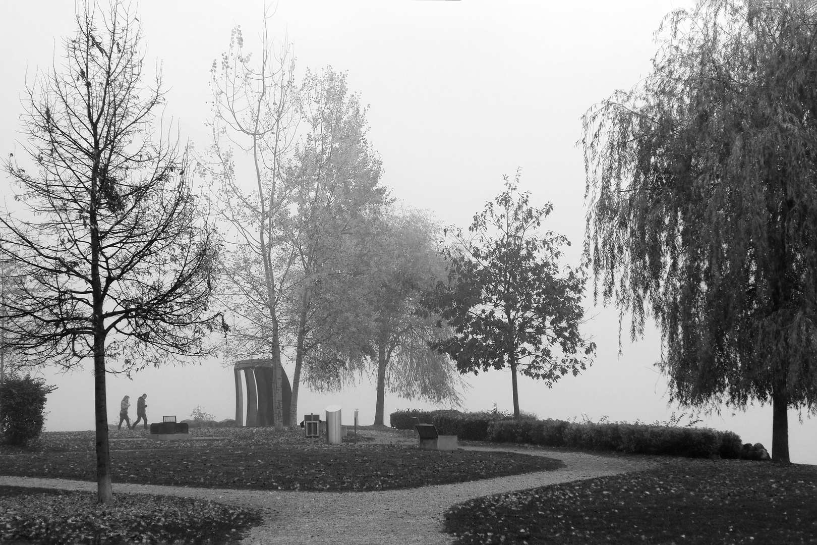 november nebel am see