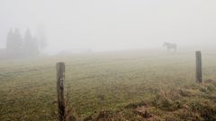 November - Nebel