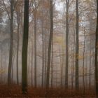 November - Nebel