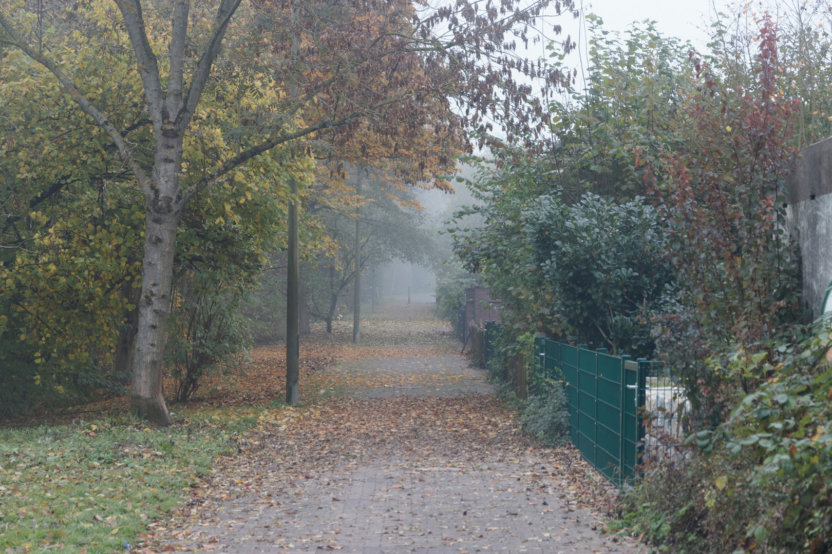 November-Nebel