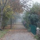 November-Nebel