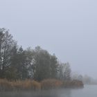 November - Nebel in den Rheinauen 02