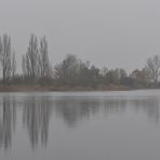 November - Nebel in den Rheinauen 03