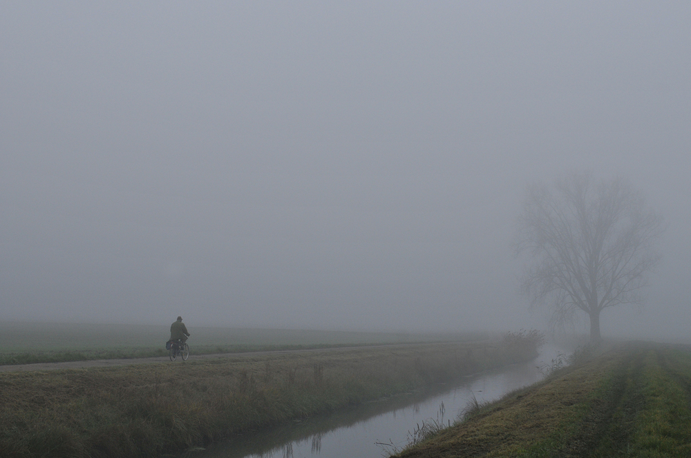 November - Nebel in den Rheinauen 06